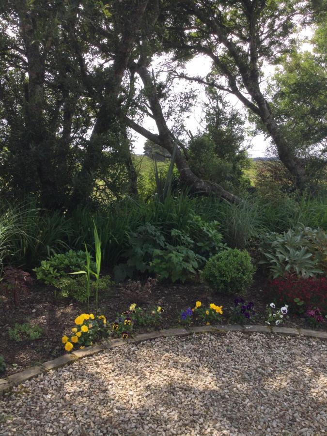 Tullybeggs B&B 克利夫登 外观 照片