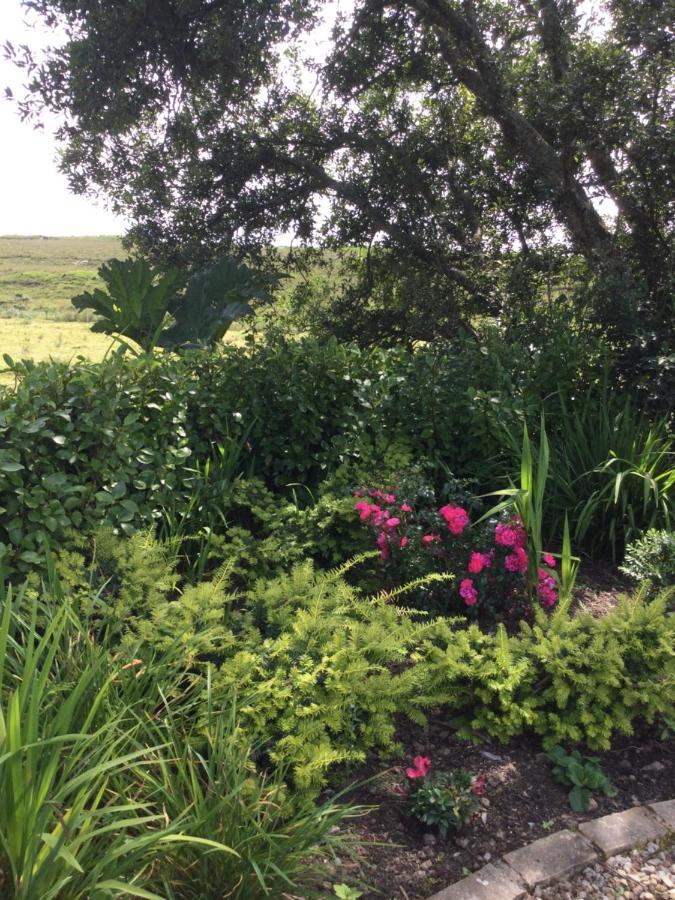 Tullybeggs B&B 克利夫登 外观 照片